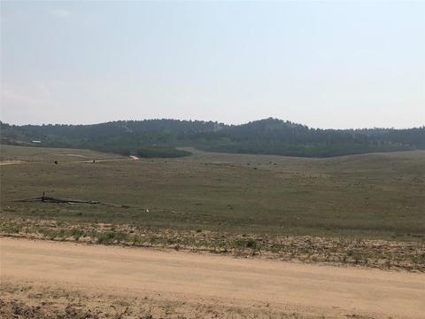 133 Link Rd, Como, CO 80432 photo 6