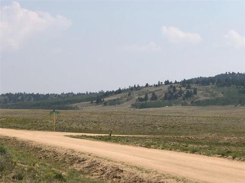 133 Link Rd, Como, CO 80432 photo 3