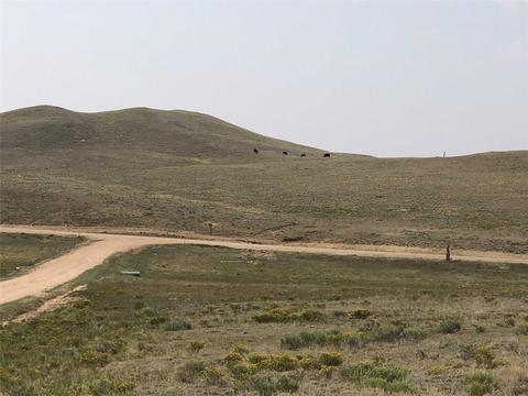 133 Link Rd, Como, CO 80432 photo 8