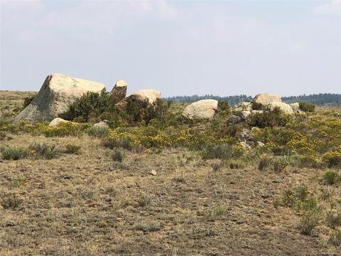 133 Link Rd, Como, CO 80432 photo 2