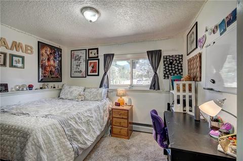 93 Canyon Trl, Dillon, CO 80435 photo 28