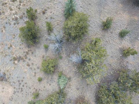 1250 Breton Cir, Como, CO 80432 photo 22