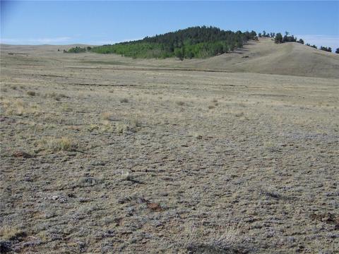 186 Link Rd, Como, CO 80432 photo 6