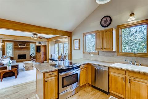 651 Ryan Gulch Rd, Silverthorne, CO 80498 photo 2