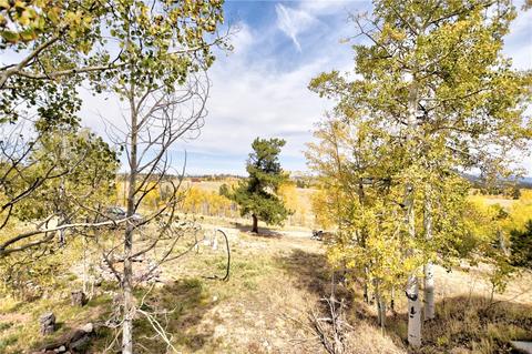 260 Smith Ct, Como, CO 80432 photo 13