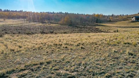 492 Pronghorn Dr, Como, CO 80432 photo 4