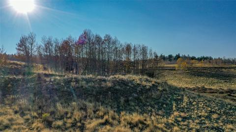 492 Pronghorn Dr, Como, CO 80432 photo 17