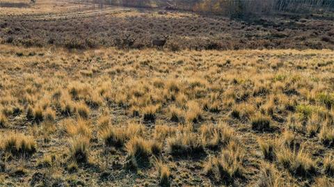 492 Pronghorn Dr, Como, CO 80432 photo 6
