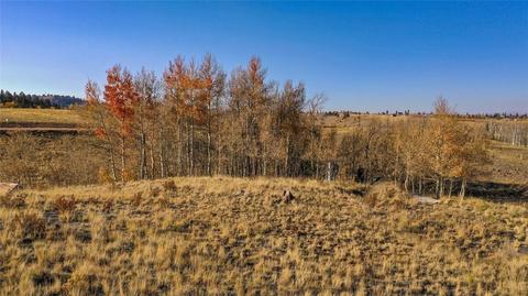492 Pronghorn Dr, Como, CO 80432 photo 19