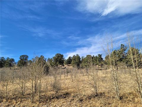 8000 Remington Rd, Como, CO 80432 photo 9