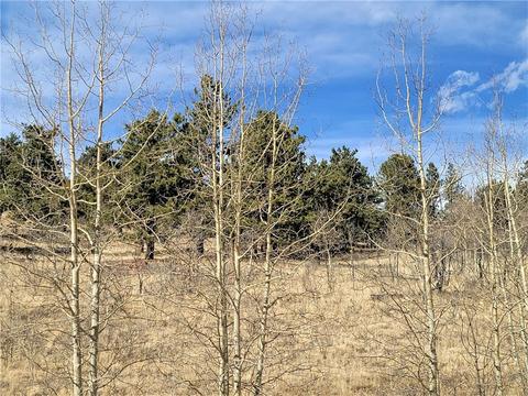 8000 Remington Rd, Como, CO 80432 photo 13