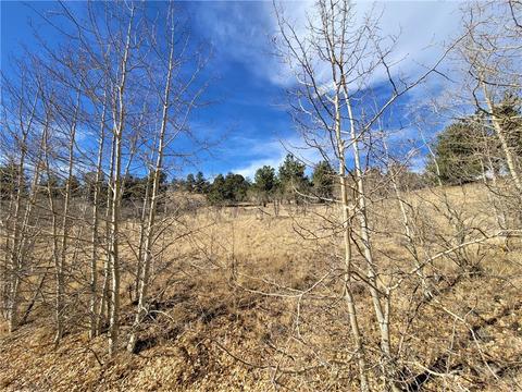 8000 Remington Rd, Como, CO 80432 photo 7