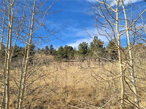 8000 Remington Rd, Como, CO 80432 photo 6