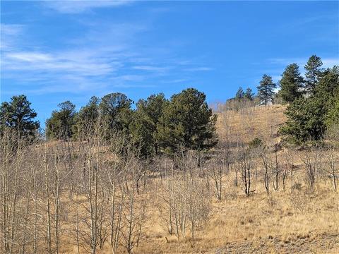 8000 Remington Rd, Como, CO 80432 photo 16