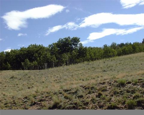 105 Anhinga Rd, Como, CO 80432 photo 4