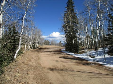 185 Kite Ct, Como, CO 80432 photo 3