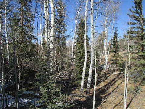 185 Kite Ct, Como, CO 80432 photo 1