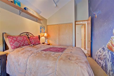 7 Eagles Nest Ct, Silverthorne, CO 80498 photo 24