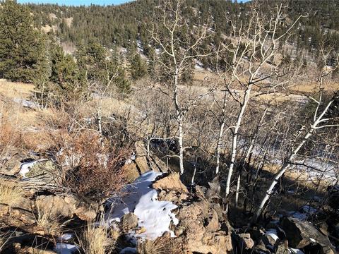 366 Folsom Dr, Como, CO 80432 photo 18
