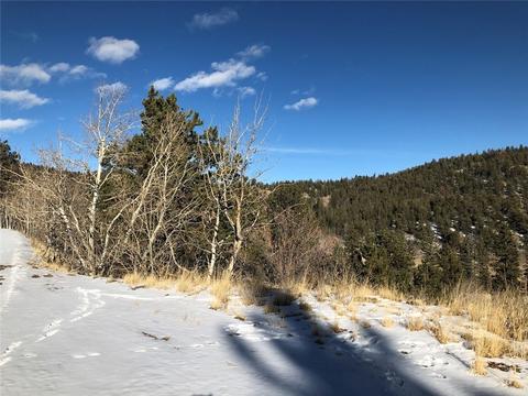 366 Folsom Dr, Como, CO 80432 photo 20
