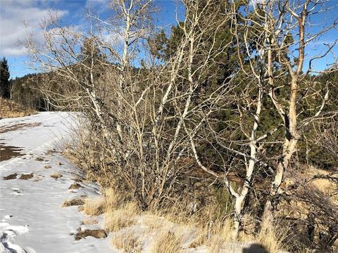366 Folsom Dr, Como, CO 80432 photo 12