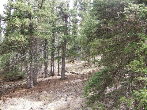 260 Breton Ct, Como, CO 80432 photo 10