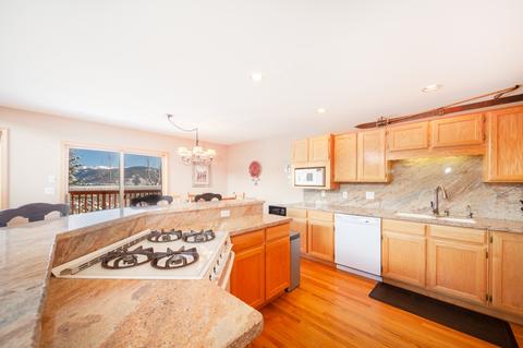 91 Bashore Ct, Silverthorne, CO 80498 photo 4