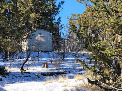 1865 Ute Trl, Como, CO 80432 photo 5
