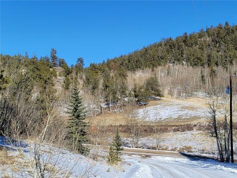 1865 Ute Trl, Como, CO 80432 photo 1