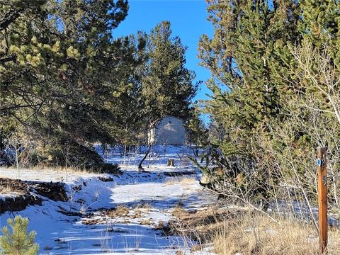 1865 Ute Trl, Como, CO 80432 photo 2