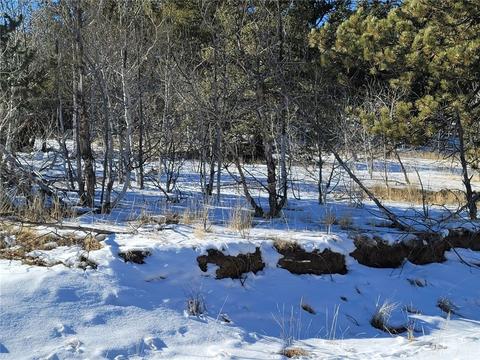 1865 Ute Trl, Como, CO 80432 photo 3