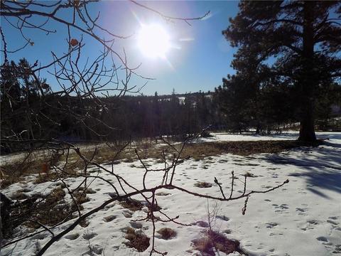 161 Rawhide Way, Como, CO 80432 photo 5