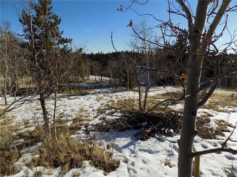 161 Rawhide Way, Como, CO 80432 photo 4