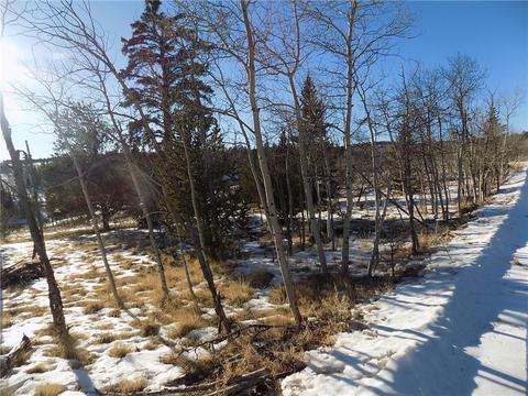 161 Rawhide Way, Como, CO 80432 photo 1