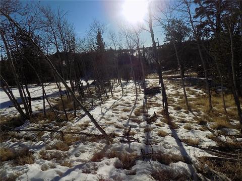 161 Rawhide Way, Como, CO 80432 photo 3