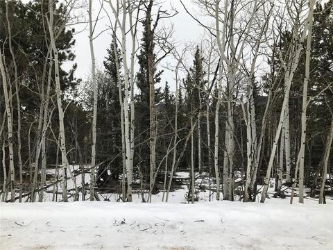 191 Smith Wesson Rd, Como, CO 80432 photo 3