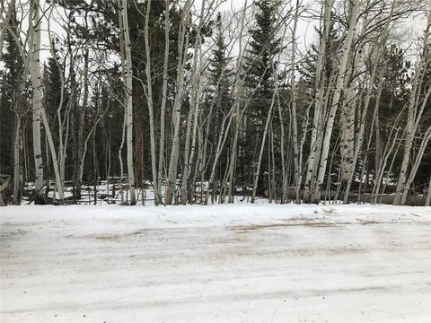 191 Smith Wesson Rd, Como, CO 80432 photo 1