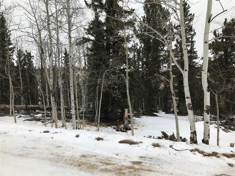 191 Smith Wesson Rd, Como, CO 80432 photo 4