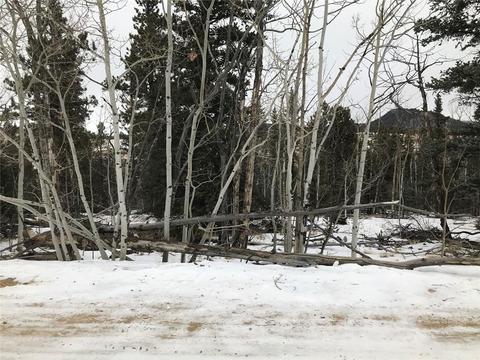 191 Smith Wesson Rd, Como, CO 80432 photo 2