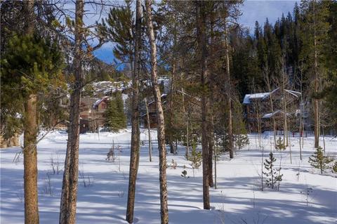 20 Tip Top Trl, Keystone, CO 80435 photo 5