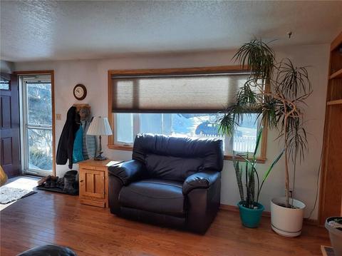 401 Cascade Cir, Silverthorne, CO 80498 photo 6
