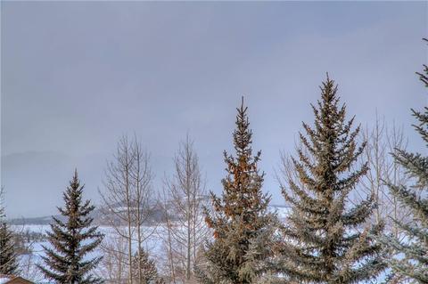 36 James Ct, Dillon, CO 80435 photo 12