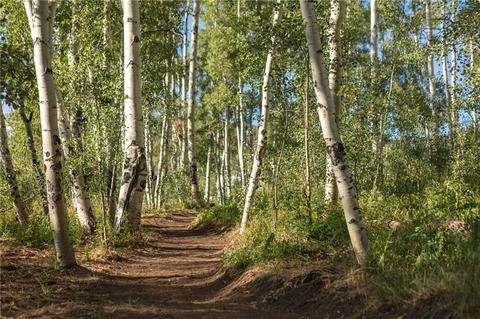 148 Vendette Rd, Silverthorne, CO 80498 photo 20