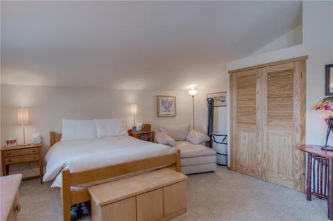 235 E Rabbit Ct, Silverthorne, CO 80498 photo 24