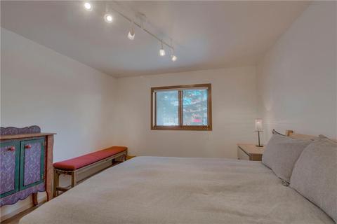 235 E Rabbit Ct, Silverthorne, CO 80498 photo 18