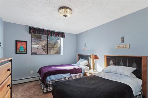 540 Park Forest Dr, Breckenridge, CO 80424 photo 24
