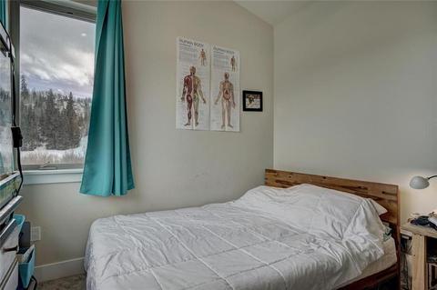 133 Haymaker St, Silverthorne, CO 80498 photo 21