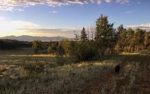 82 Rawhide Ct, Como, CO 80432 photo 4