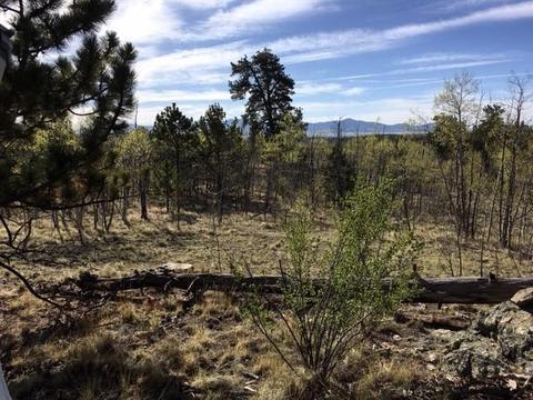 82 Rawhide Ct, Como, CO 80432 photo 7