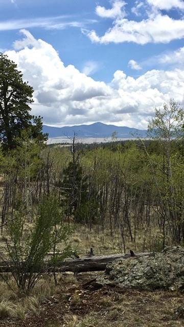 82 Rawhide Ct, Como, CO 80432 photo 8